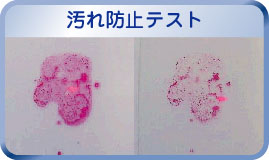 光触媒