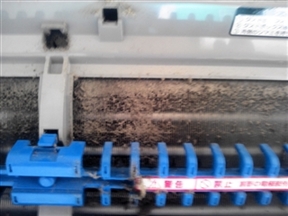 �_�X�g�{�b�N�X